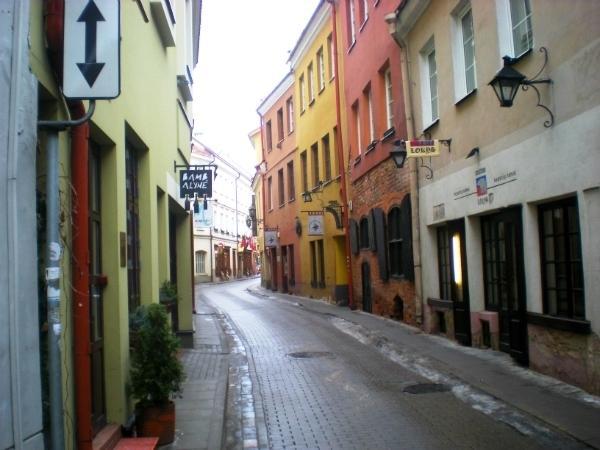 Historic Center Apartment Vilnius Kültér fotó