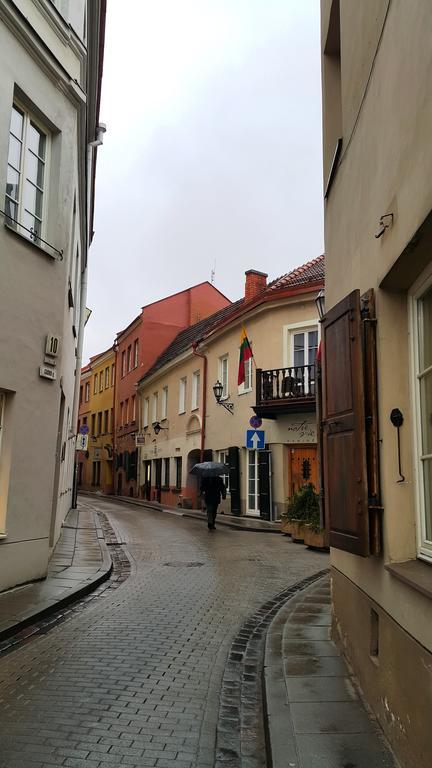 Historic Center Apartment Vilnius Kültér fotó